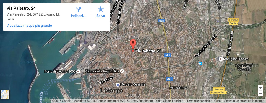 mappa google